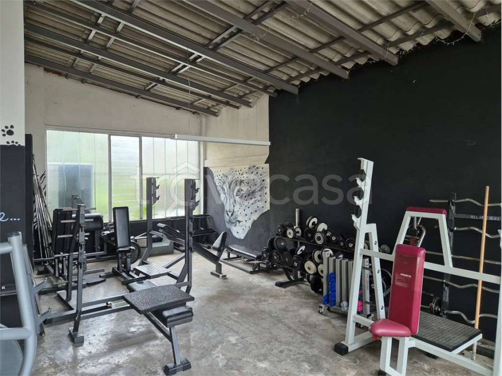 immagine annuncio 5 di 15