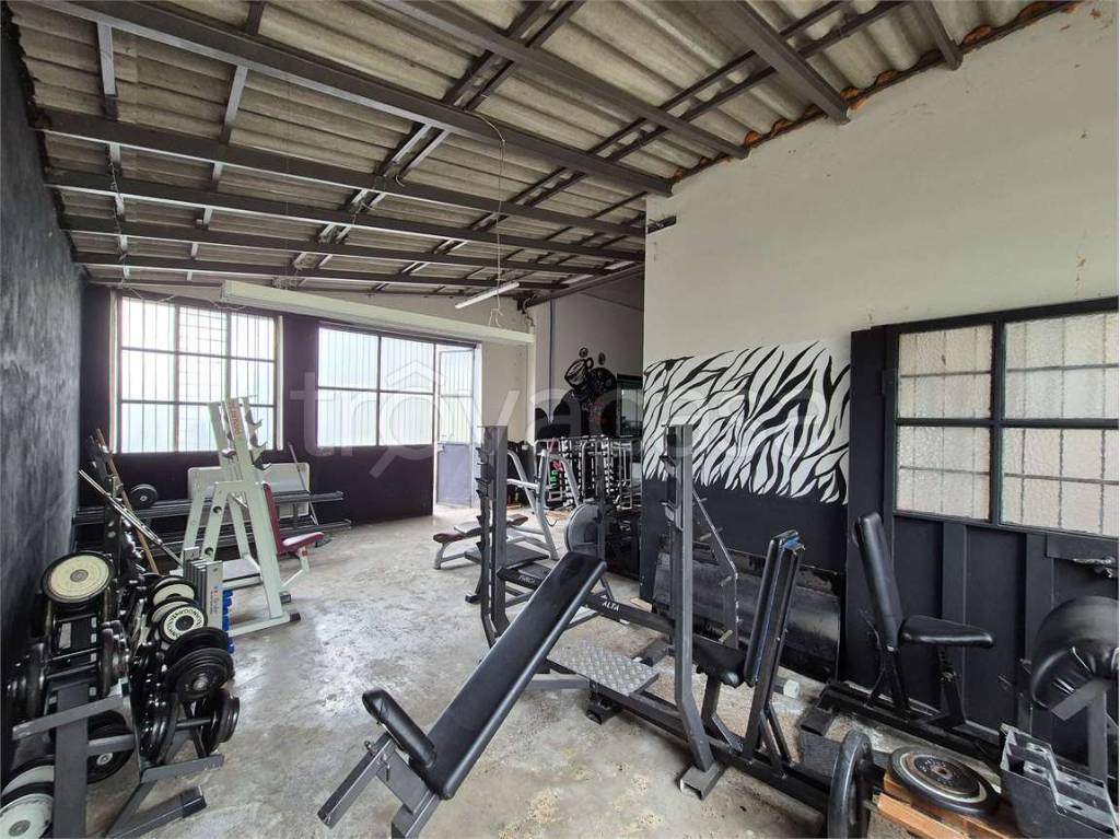 immagine annuncio 8 di 15