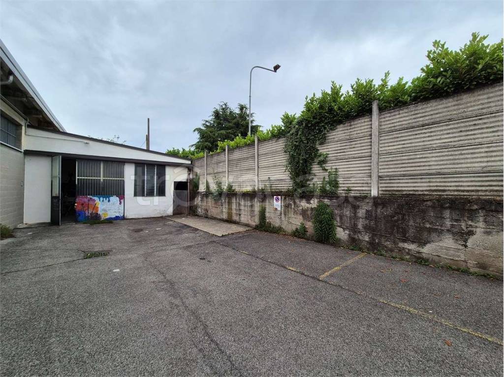 immagine annuncio 12 di 15