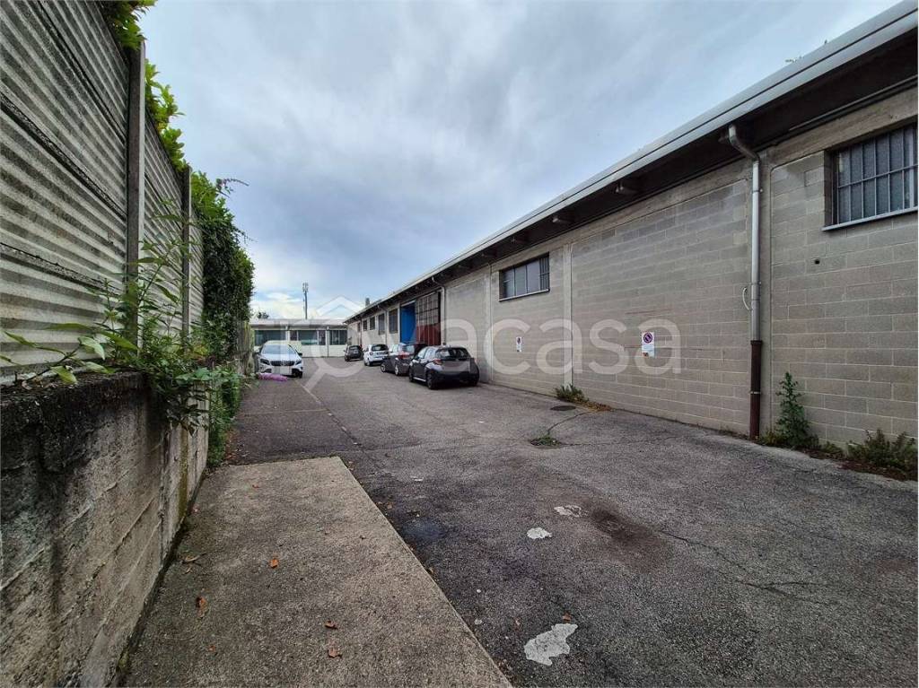 immagine annuncio 14 di 15