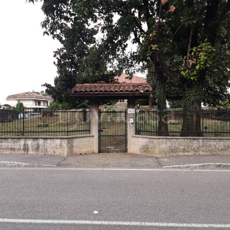immagine annuncio 5 di 7