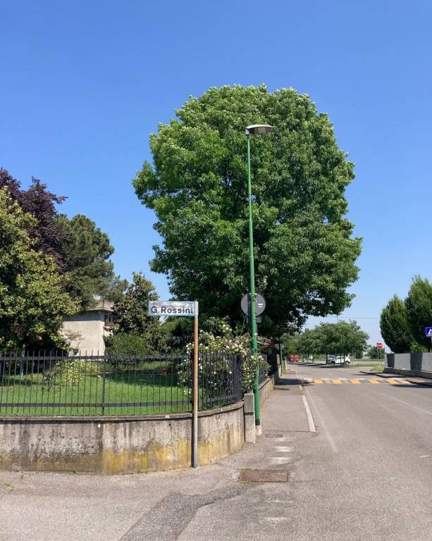 immagine annuncio 3 di 7