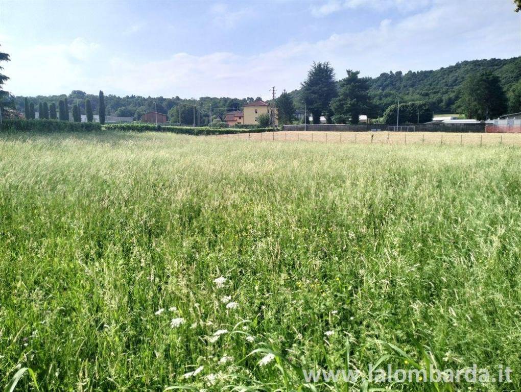 immagine annuncio 1 di 2