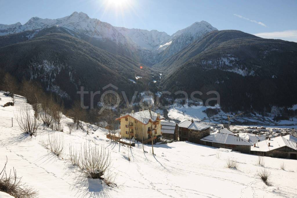 immagine annuncio 4 di 11