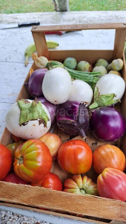 immagine annuncio 2 di 7