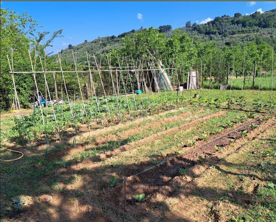 immagine annuncio 6 di 7