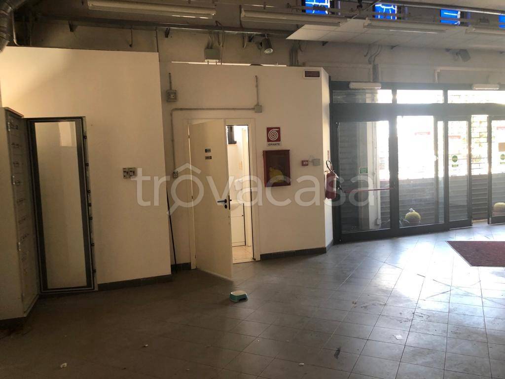 immagine annuncio 7 di 13
