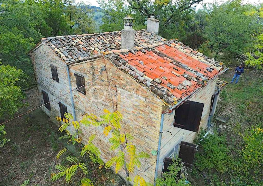 immagine annuncio 1 di 7