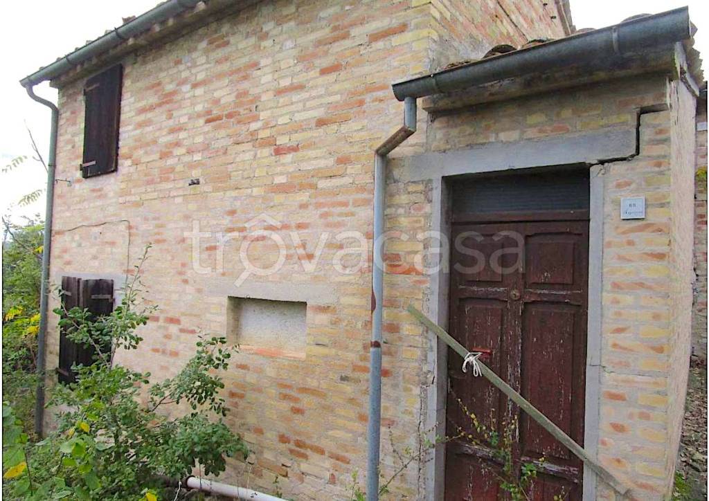 immagine annuncio 4 di 7