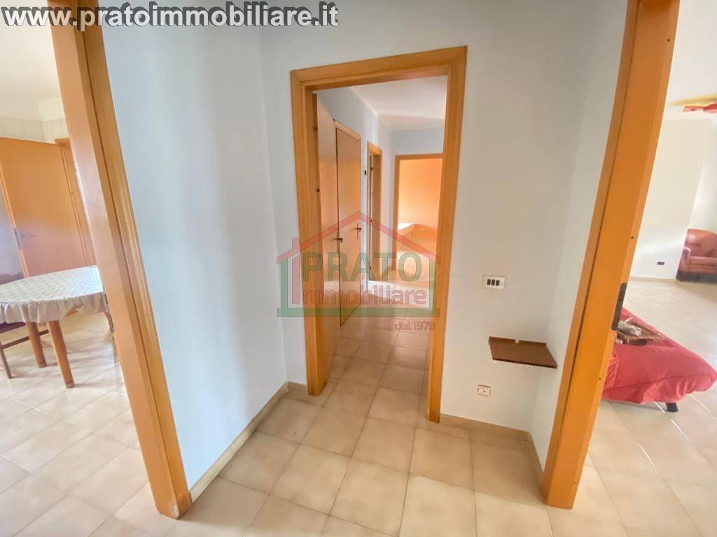 immagine annuncio 3 di 14