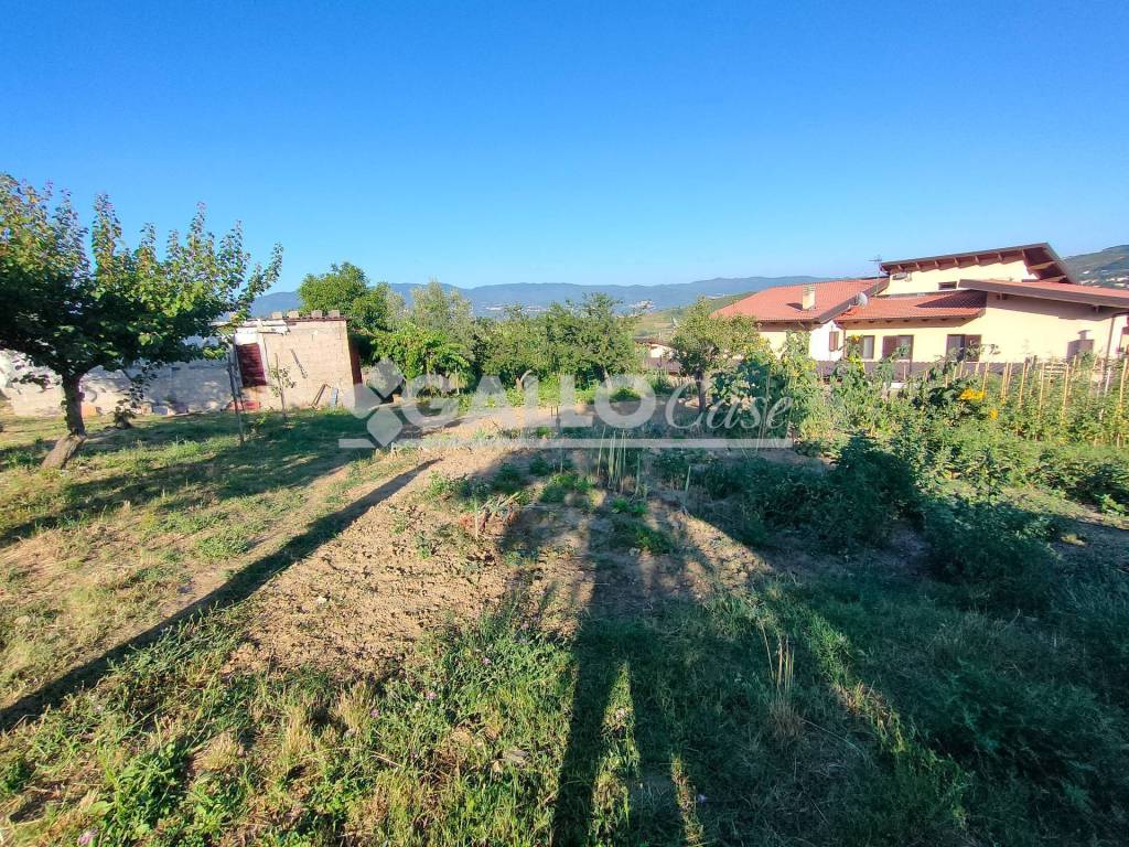 immagine annuncio 5 di 9