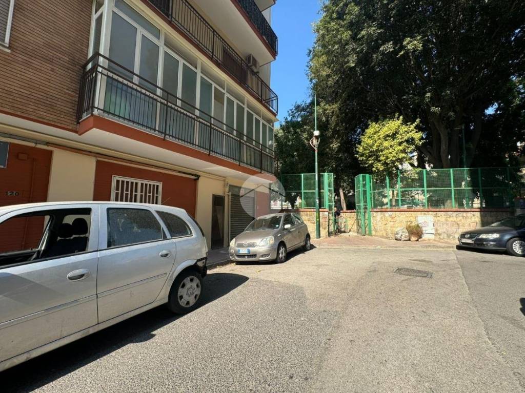 immagine annuncio 3 di 13
