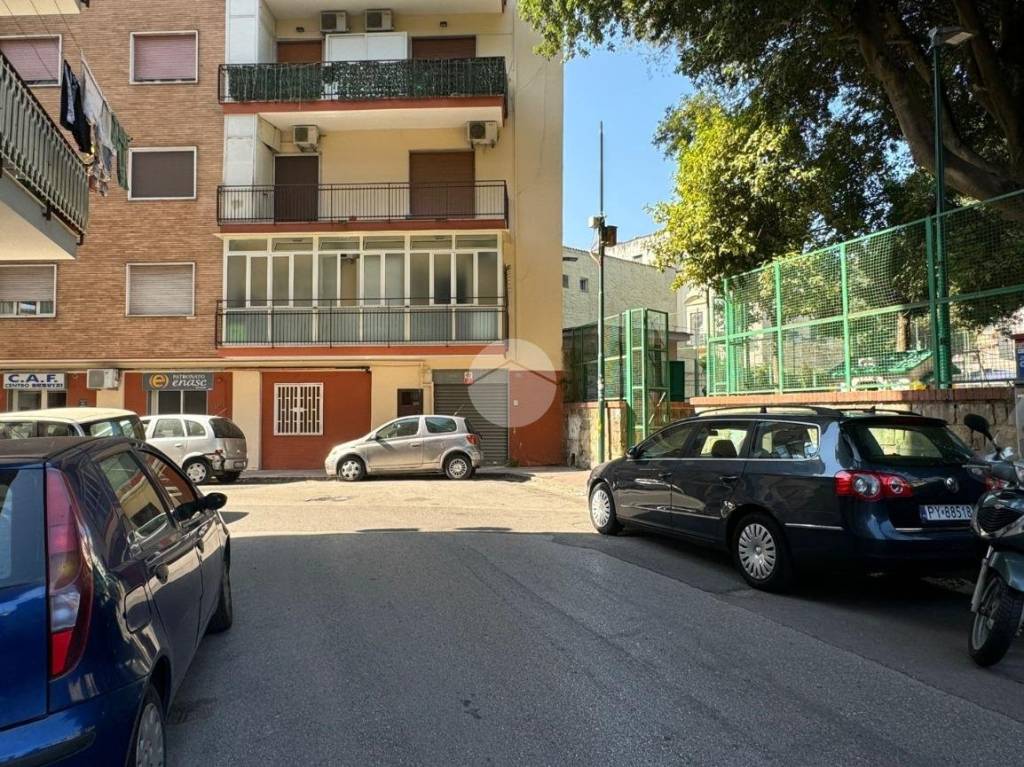 immagine annuncio 7 di 13