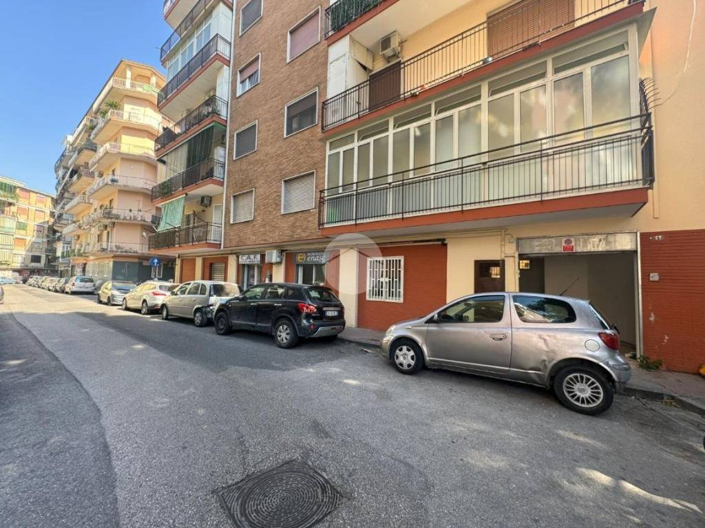 immagine annuncio 10 di 13