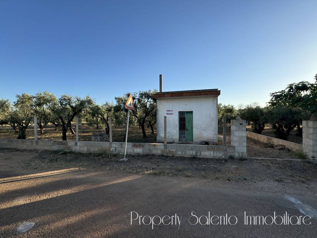immagine annuncio 9 di 15
