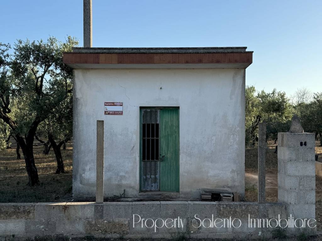 immagine annuncio 7 di 15