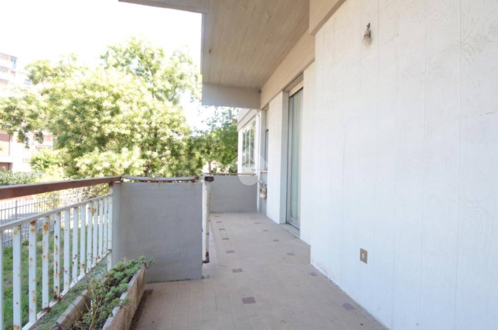 immagine annuncio 4 di 12