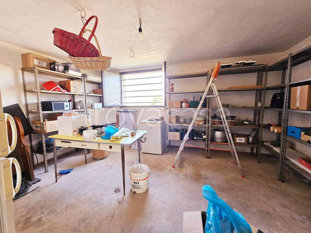 immagine annuncio 12 di 14