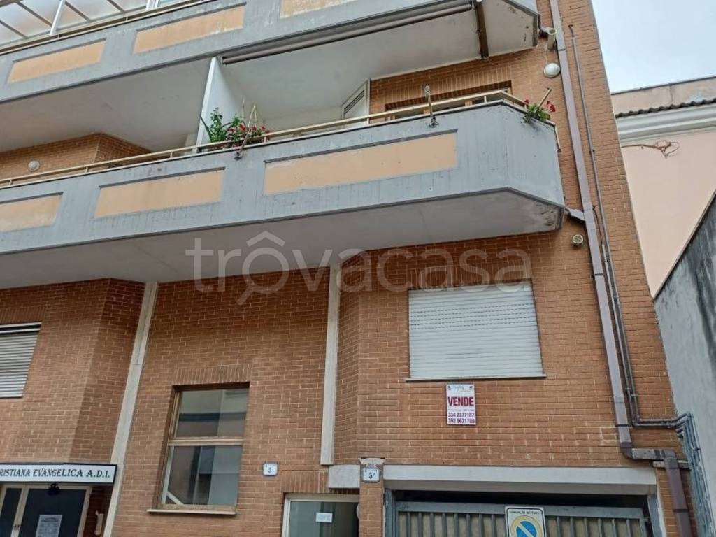 immagine annuncio 10 di 12