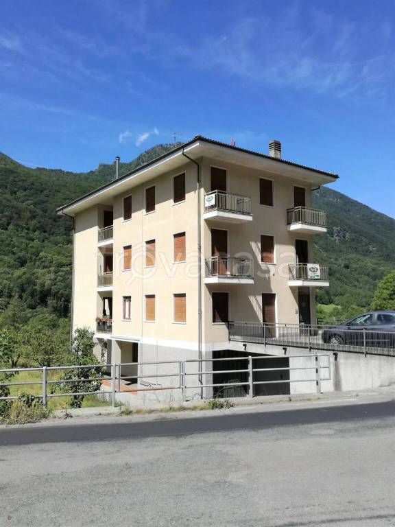 immagine annuncio 1 di 14