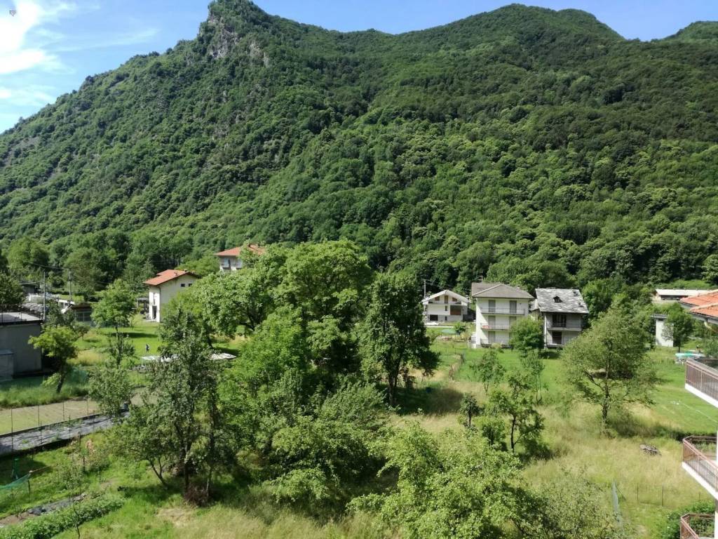 immagine annuncio 12 di 14