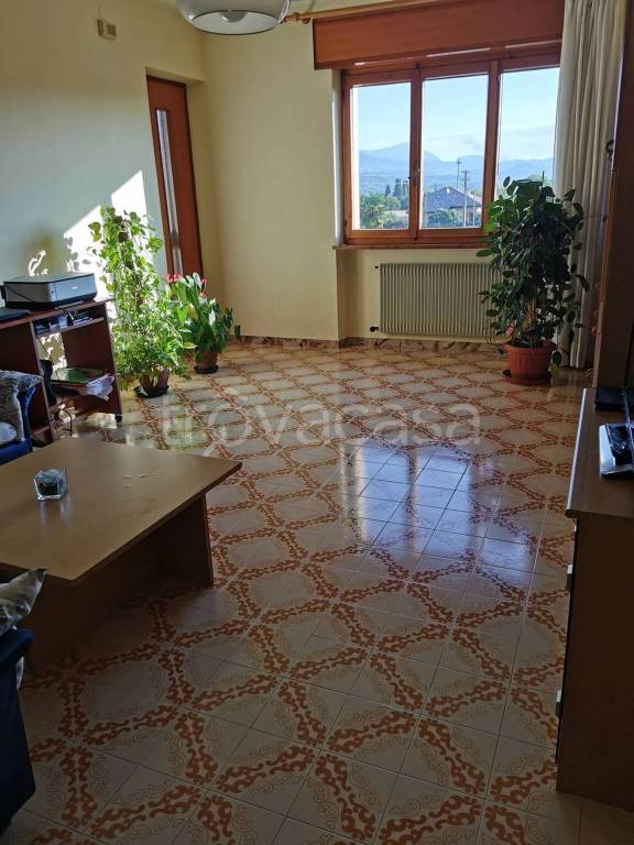 immagine annuncio 2 di 8