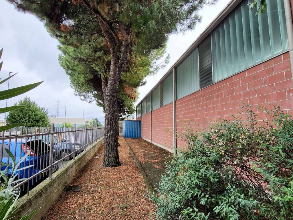 immagine annuncio 10 di 15