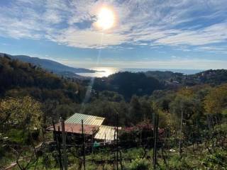 Terreno agricolo in vendita a lerici maggiola