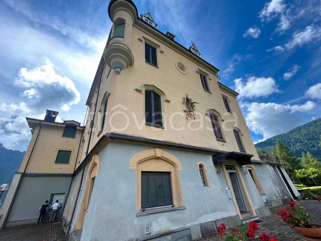 immagine annuncio 6 di 15