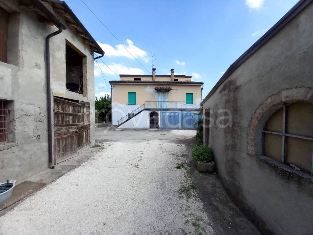 immagine annuncio 1 di 11