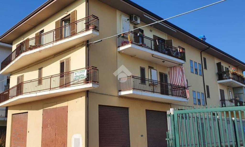immagine annuncio 1 di 12