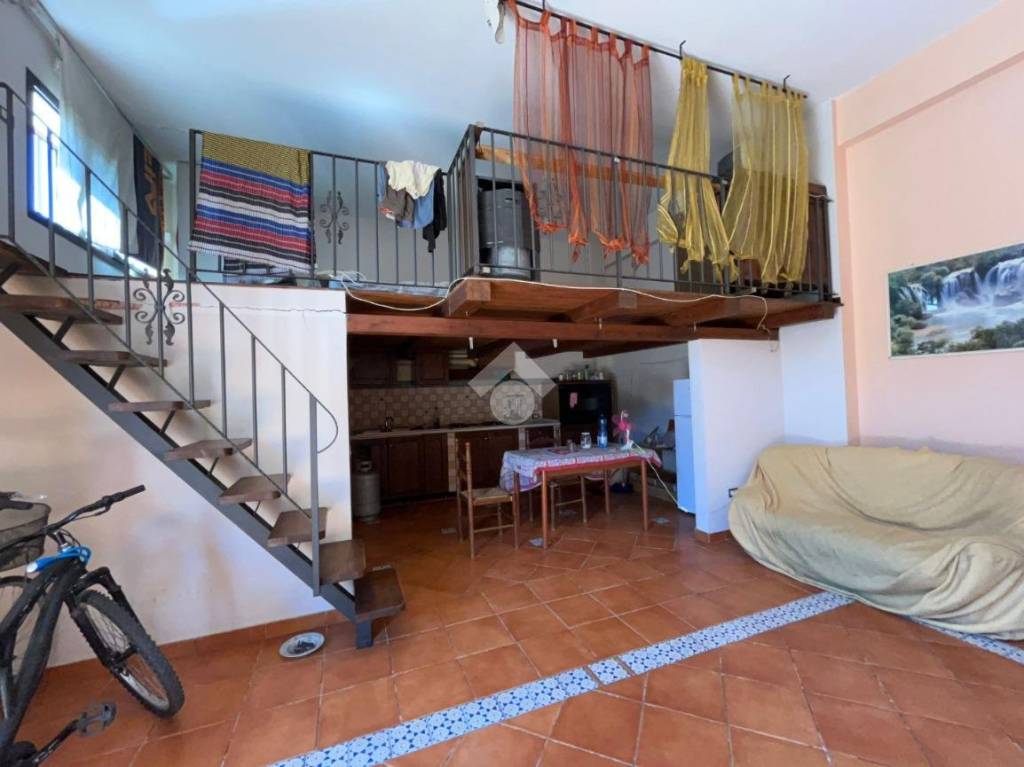 immagine annuncio 5 di 12