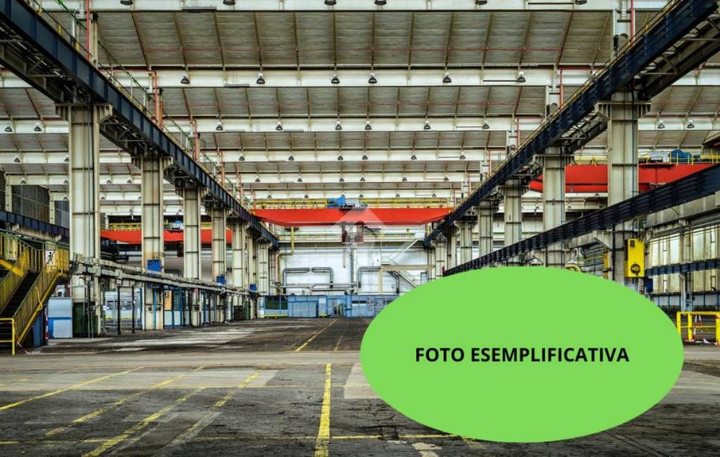 immagine annuncio 2 di 12