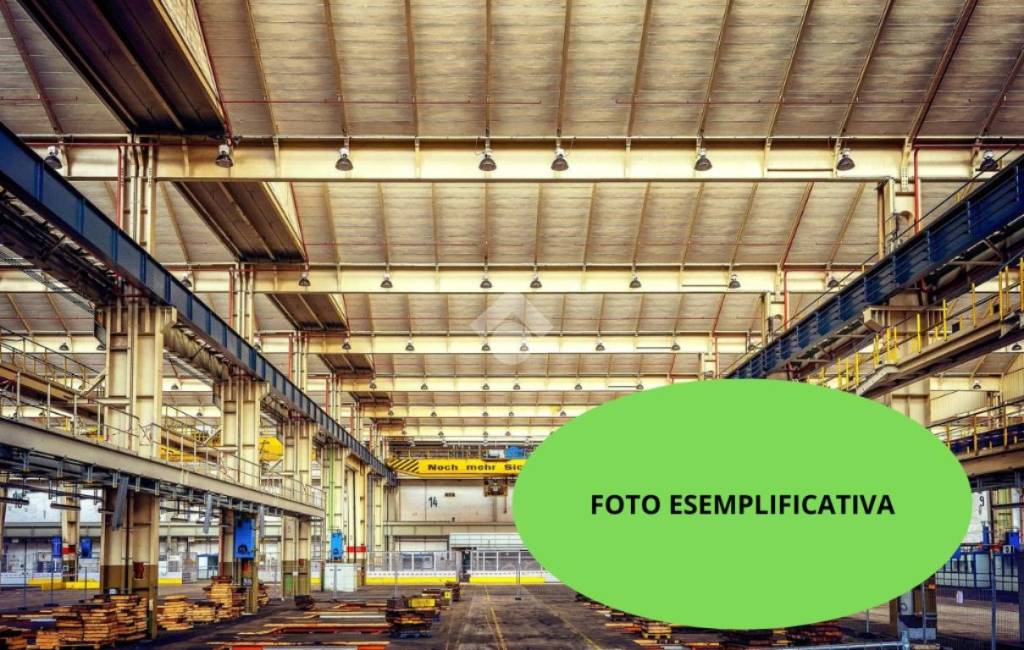 immagine annuncio 3 di 12