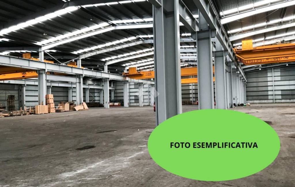 immagine annuncio 4 di 12