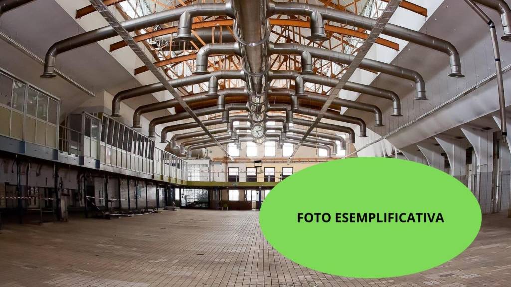 immagine annuncio 5 di 12