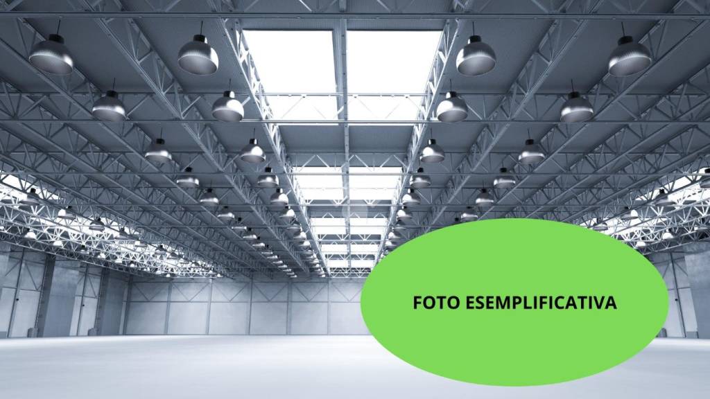 immagine annuncio 7 di 12