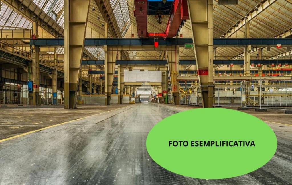 immagine annuncio 9 di 12