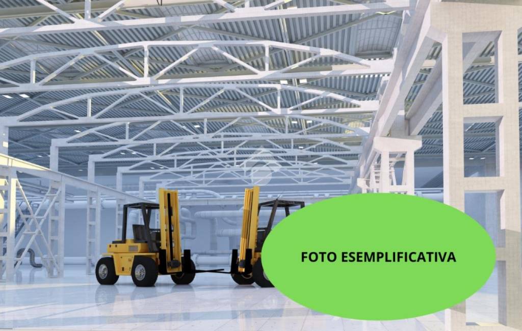 immagine annuncio 10 di 12