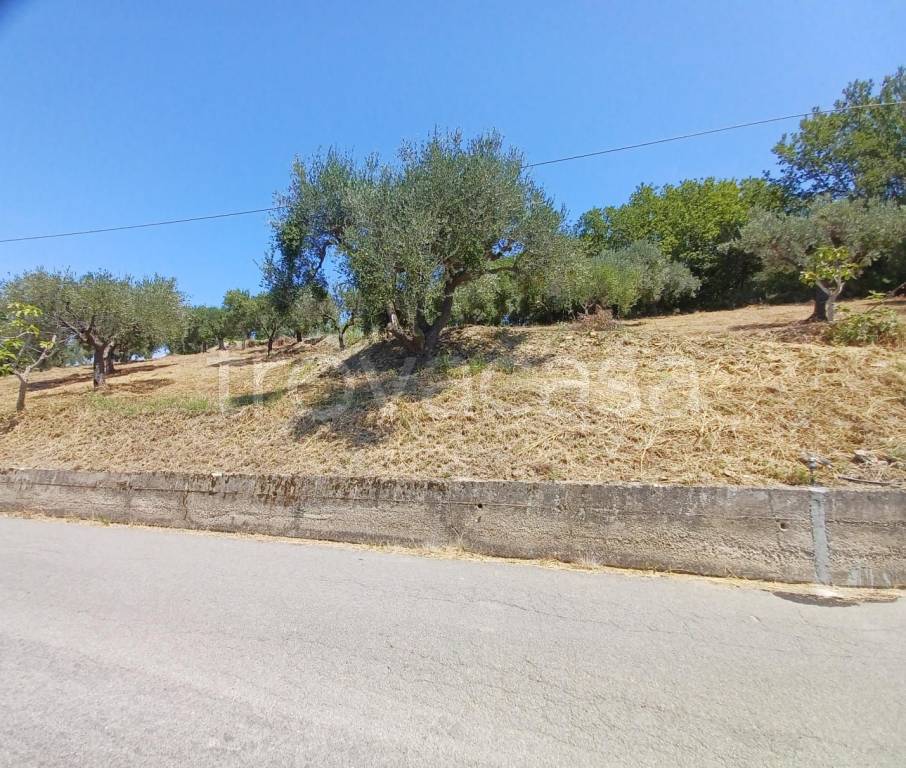 immagine annuncio 7 di 13