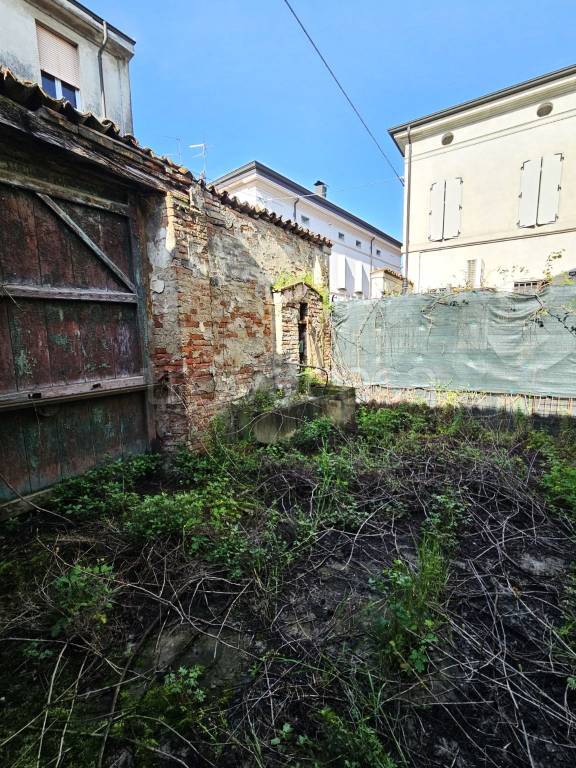 immagine annuncio 6 di 11
