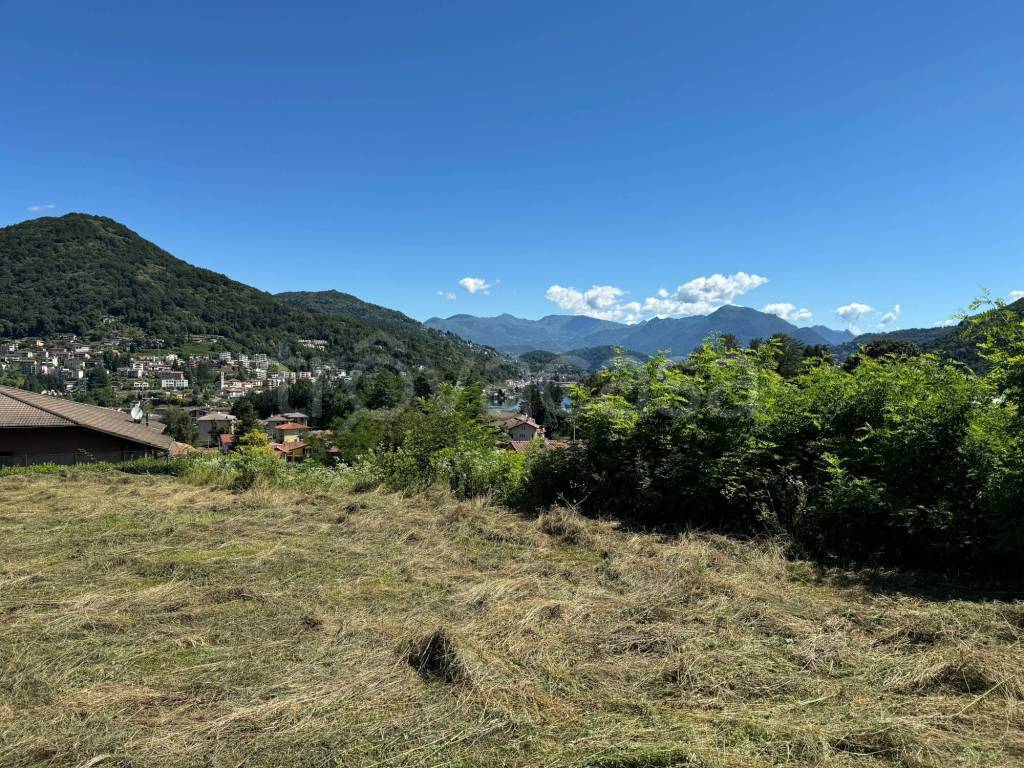immagine annuncio 8 di 12