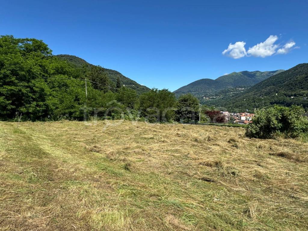 immagine annuncio 10 di 12