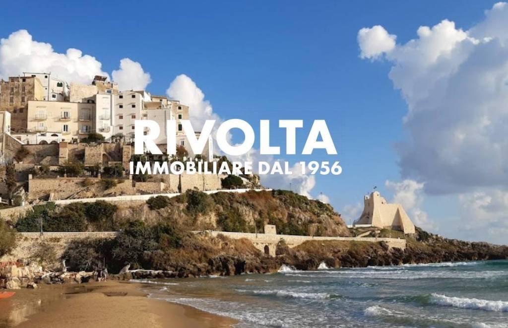 immagine annuncio 2 di 8