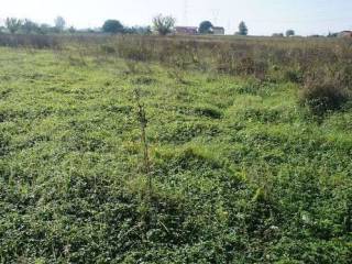 Terreno agricolo in vendita a pescia via di stelle 29