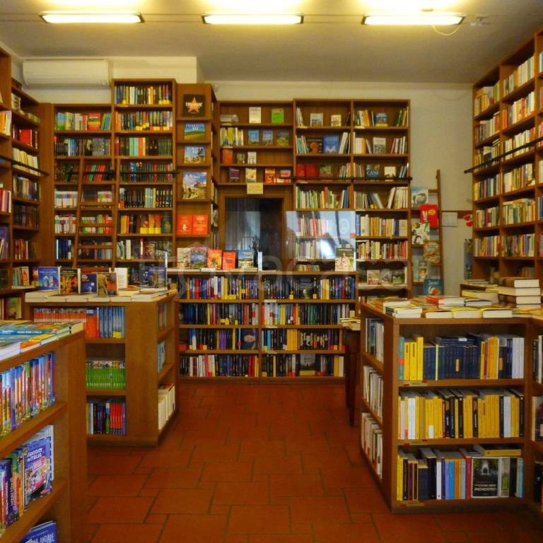 immagine annuncio 4 di 7