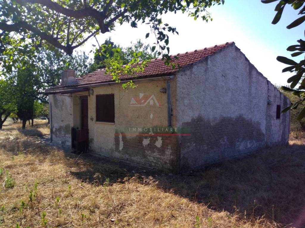 immagine annuncio 5 di 11