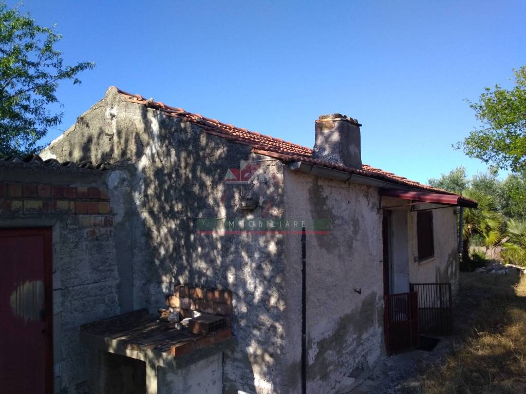 immagine annuncio 7 di 11