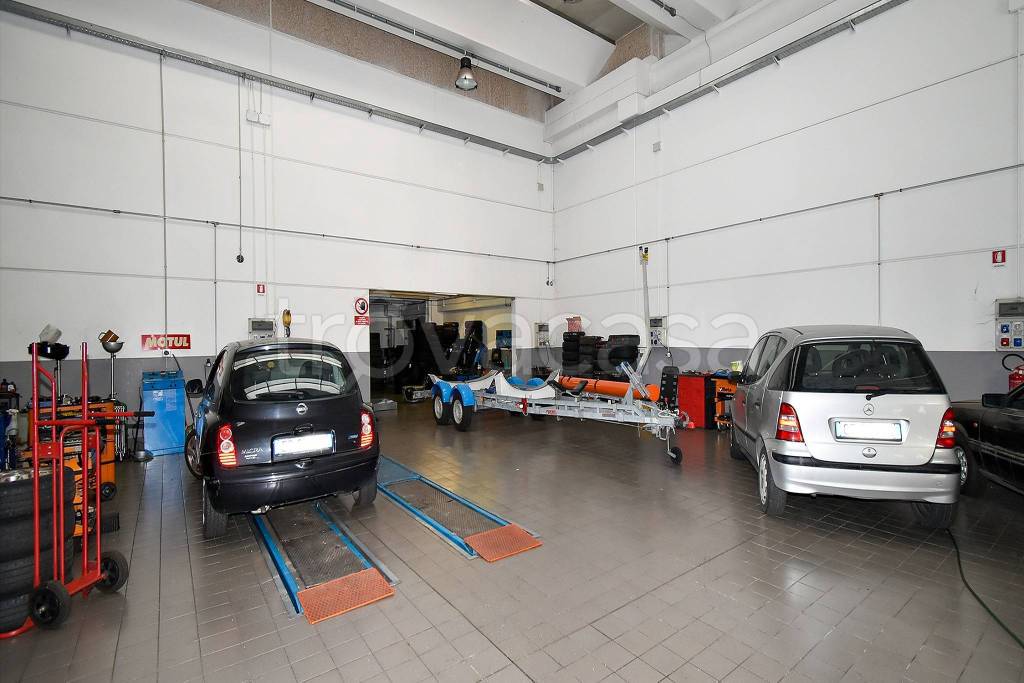 immagine annuncio 9 di 15
