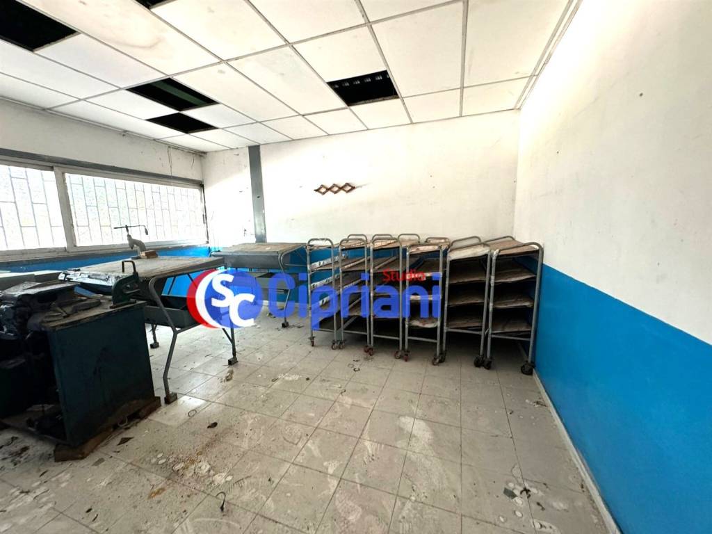 immagine annuncio 2 di 12